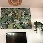 Casa Ajaches *